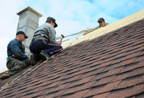 Best Storm Damage Roof Repair  in Rankin, PA